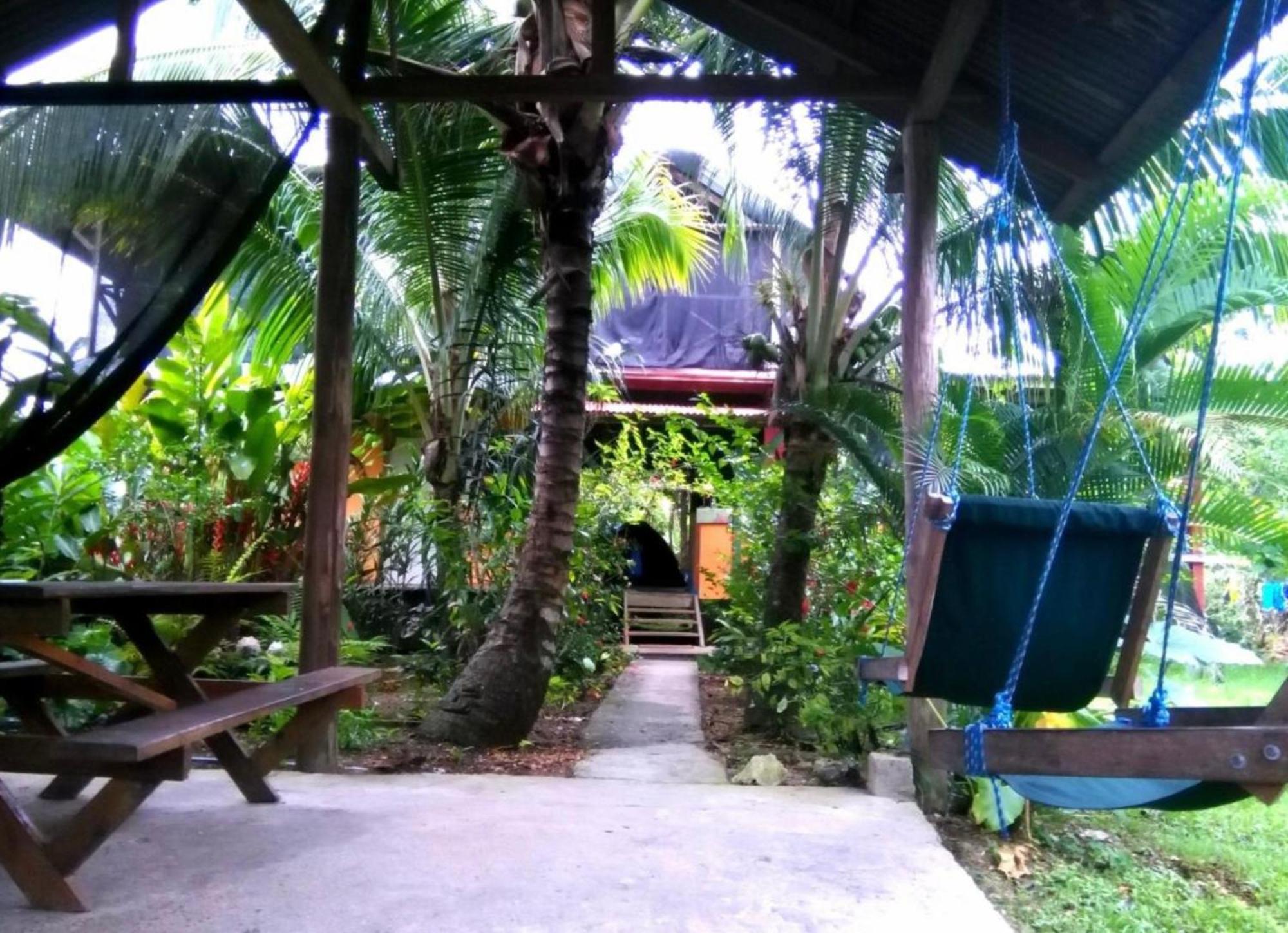 La Y Surf Camp Hotel โบกัสทาวน์ ภายนอก รูปภาพ