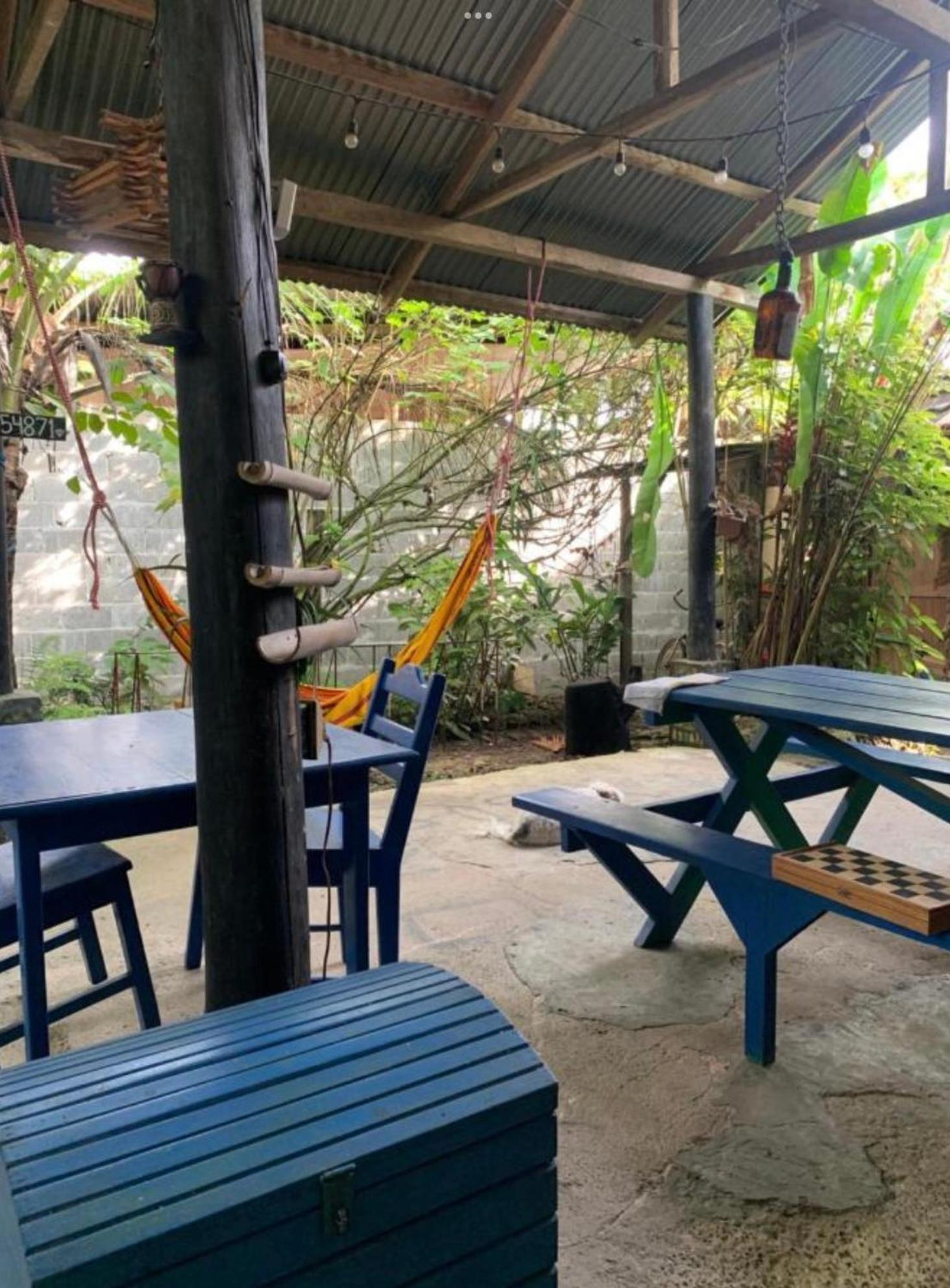 La Y Surf Camp Hotel โบกัสทาวน์ ภายนอก รูปภาพ