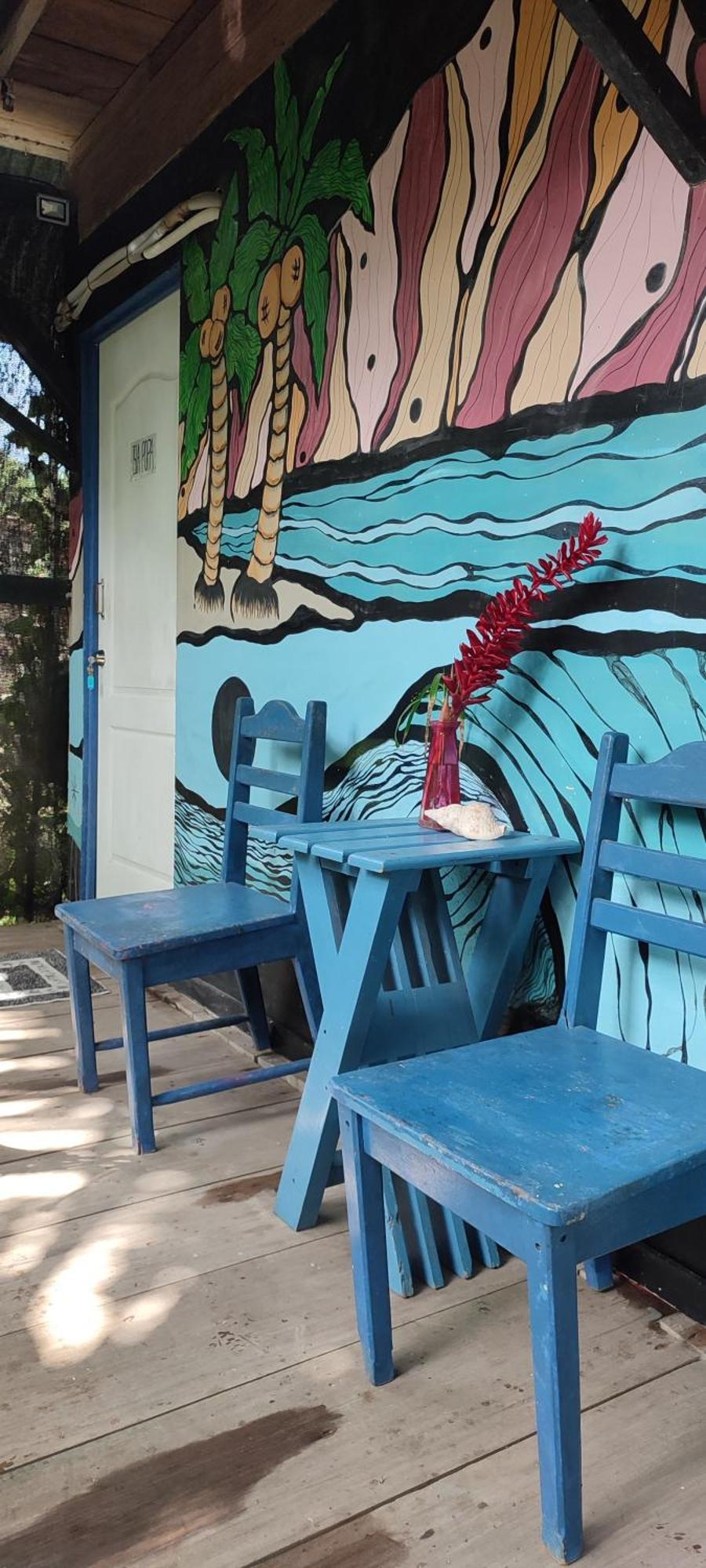 La Y Surf Camp Hotel โบกัสทาวน์ ภายนอก รูปภาพ