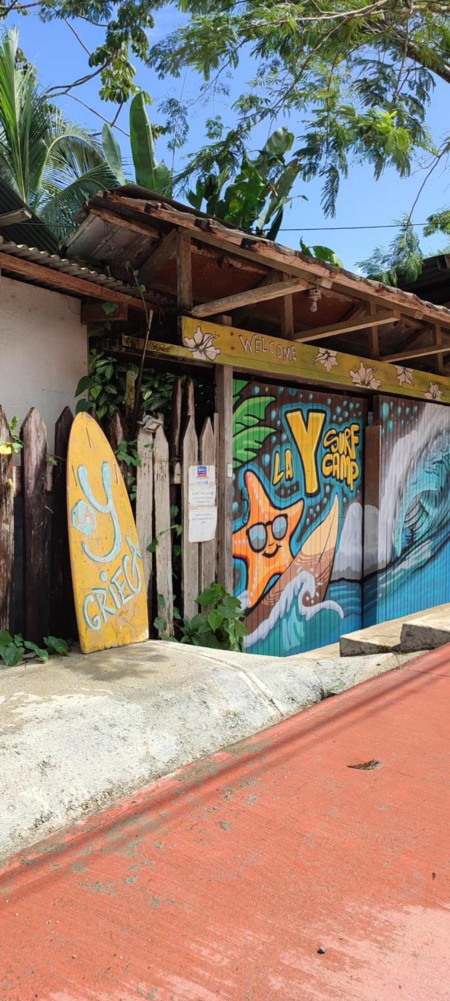 La Y Surf Camp Hotel โบกัสทาวน์ ภายนอก รูปภาพ